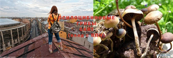 не бодяженный Армянск