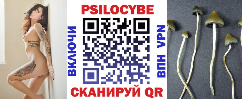закладки  Бирюч  Галлюциногенные грибы мицелий 